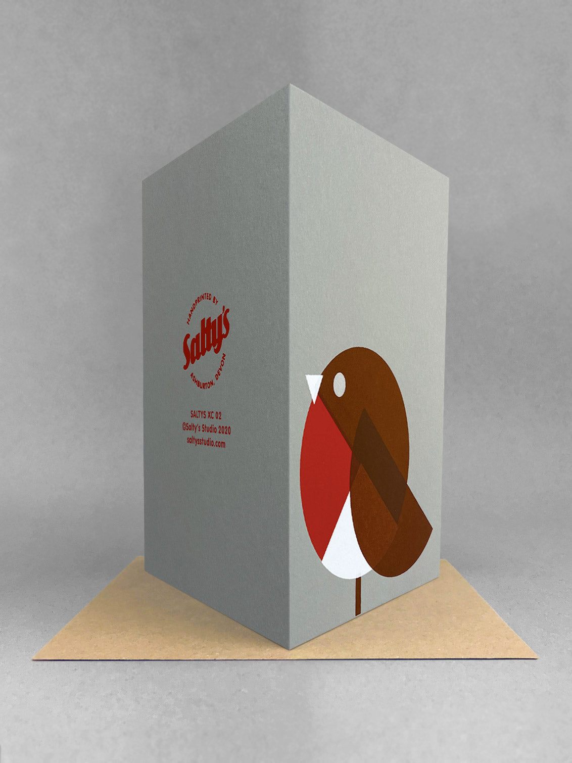 Robin Christmas Card